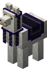 Lama recouvert d'un tapis noir