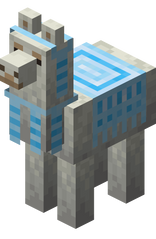 Lama recouvert d'un tapis bleu clair