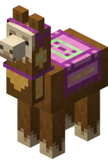 Lama recouvert d'un tapis magenta